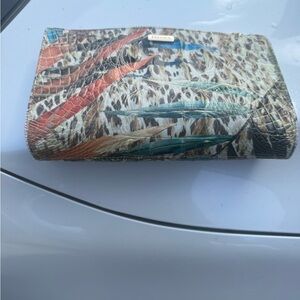 Multicolor Women's Clutch